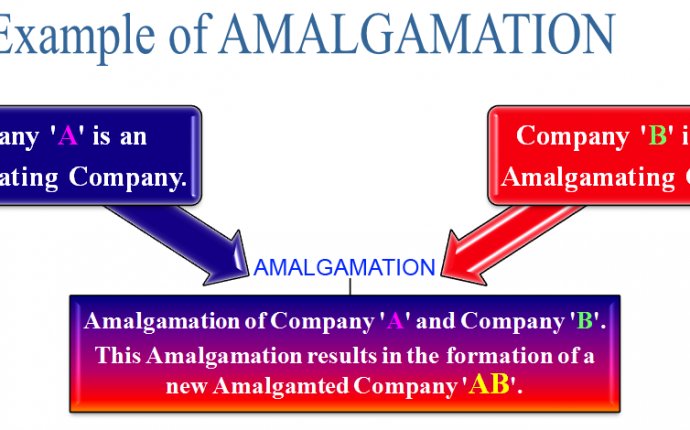 What is Amalgamation? Definition, Meaning and Example